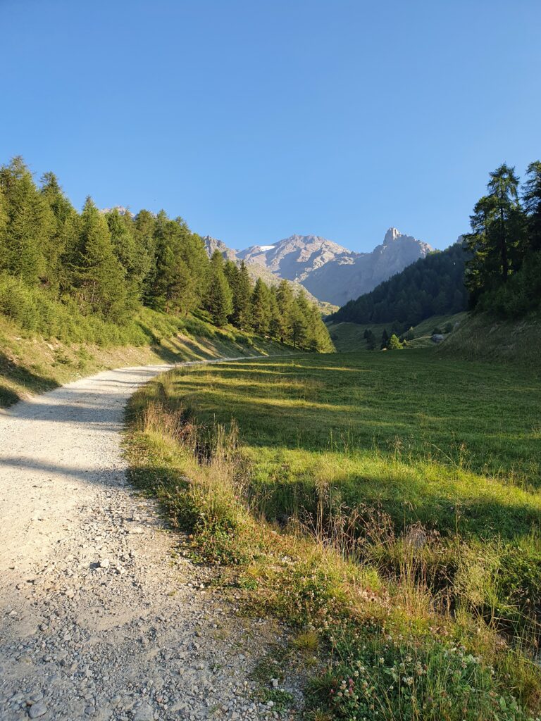 Vista del Monte Vioz dal Rifugio Lo Scoiattolo